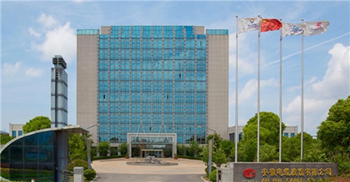 安徽电缆股份有限公司